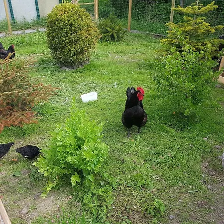 Hausnordlicht 2 アパート *