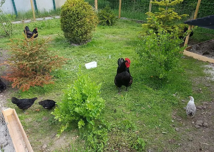 Hausnordlicht 2 Lägenhet *